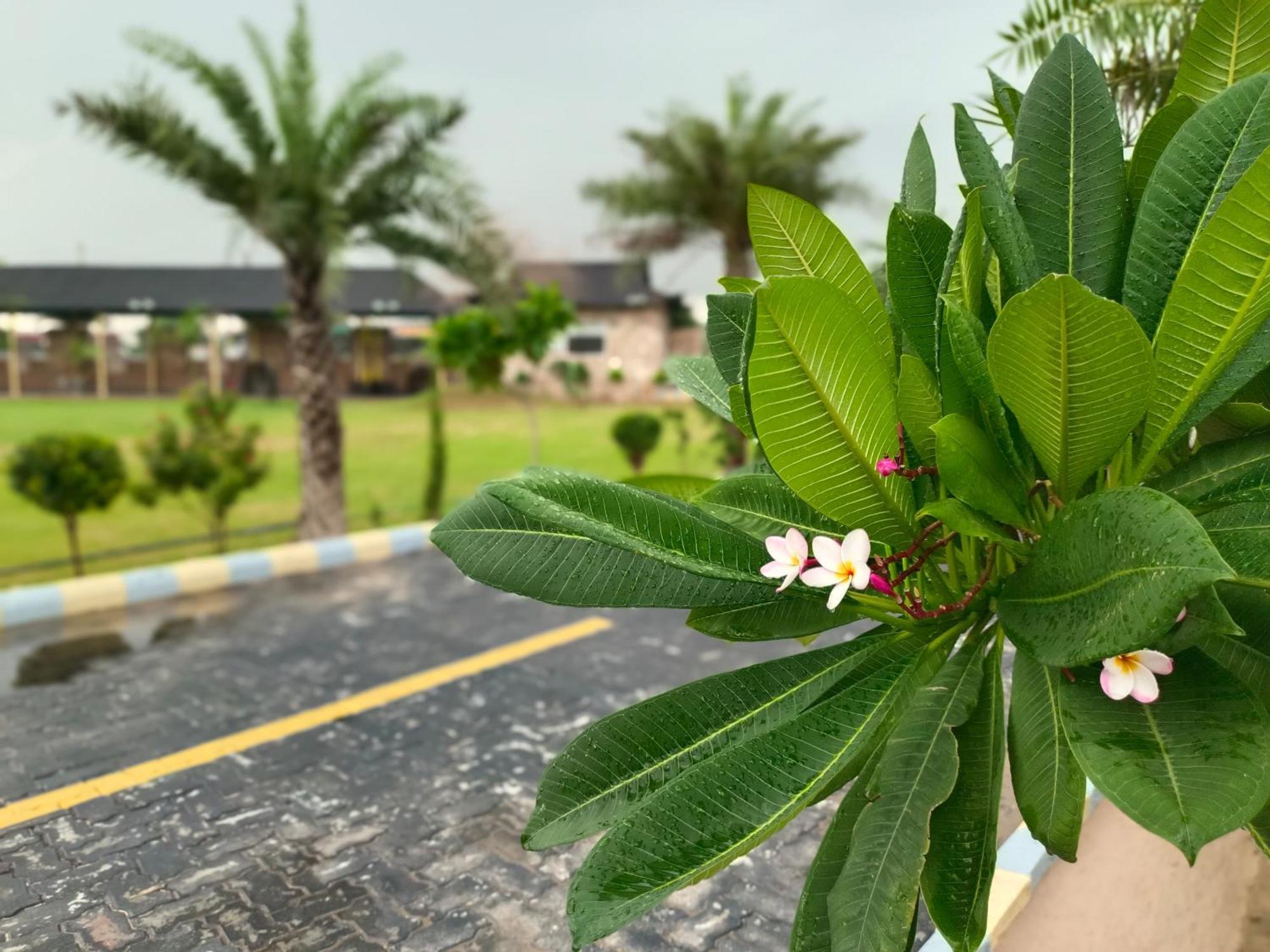 Royal Rajasthan Resort Sikar エクステリア 写真